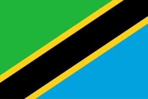 Tanzanian Flag